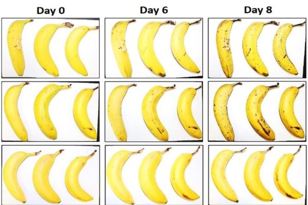 Video, il packaging dalla… spremitura di frutta e verdura