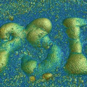 Un processo di produzione innovativo e “catturato” in tre dimensioni