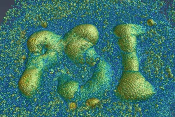 Un processo di produzione innovativo e “catturato” in tre dimensioni