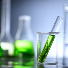 Un’ingegneria genetica per l’agricoltura e l’alimentazione sostenibili