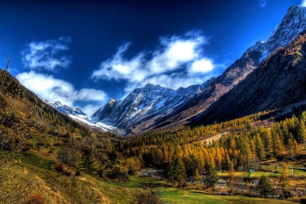 Video, l’ecosistema unico della foresta alpina del Lötschental
