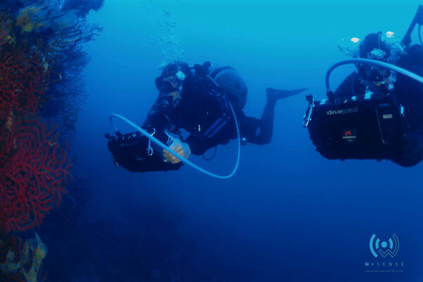 WSense, così l’Internet delle Cose arriva nelle profondità del mare