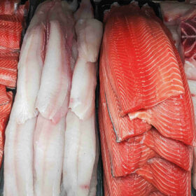“Controlla il tuo pesce!”: la pesca sostenibile vista dai consumatori