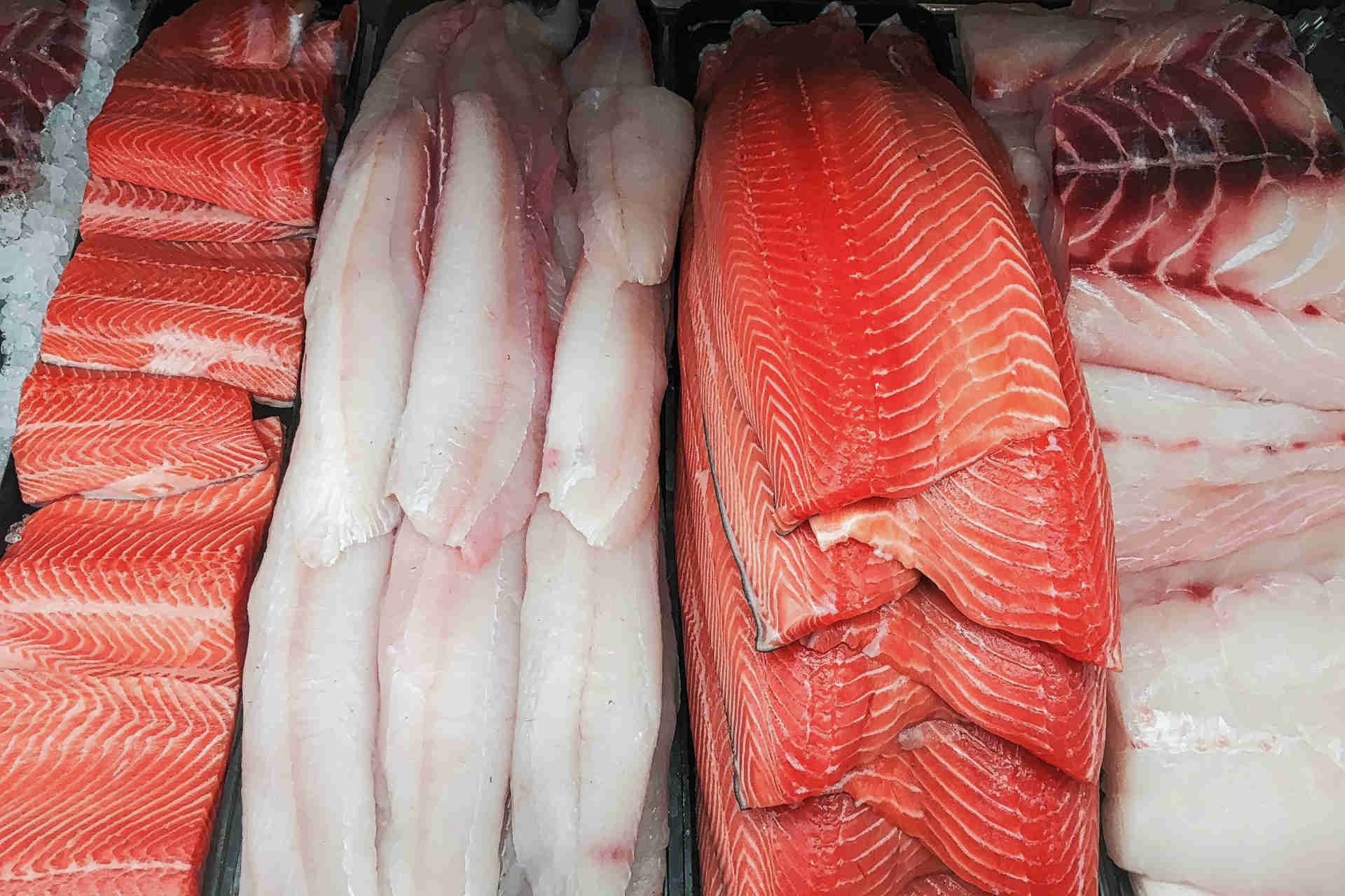 "Controlla il tuo pesce!": la pesca sostenibile vista dai consumatori