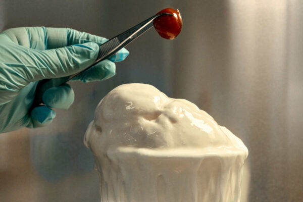 Ecco il primo gelato alla vaniglia prodotto da… rifiuti in plastica