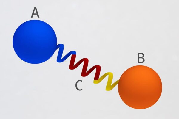 Due proteine sono state unite stabilmente per la prima volta