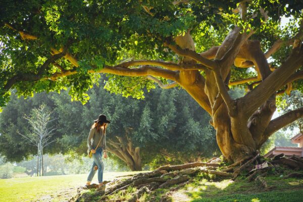 Immergersi nella natura: la chiave per vivere a lungo e in salute