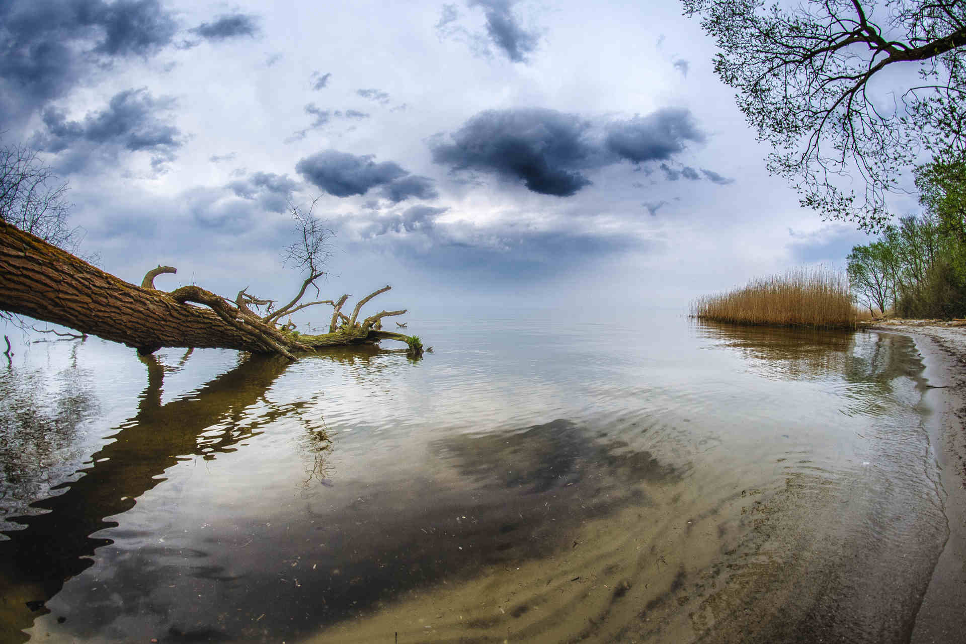 La laguna di Stettino è il “Lago Minacciato dell’Anno” 2024
