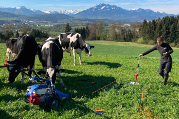 Studiare i liquami per abbattere le emissioni: il progetto in Svizzera
