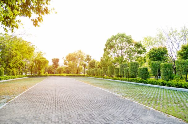 Alberi e piante al posto dei parcheggi in città: lo studio su “Nature”