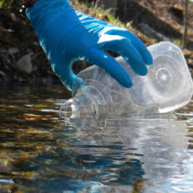 A pesca di DNA nei fiumi della Svizzera per studiare la biodiversità