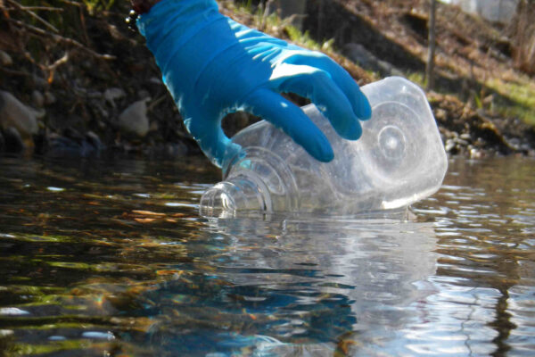 A pesca di DNA nei fiumi della Svizzera per studiare la biodiversità