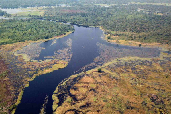 Il fiume più scuro del mondo è in Congo: il primo studio sul Ruki