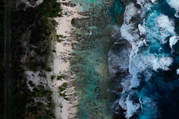 Un inedito Atlante degli Habitat Marini per la tutela degli oceani