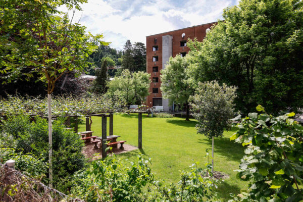 A Lugano un’oasi di biodiversità per coniugare ambiente e vita