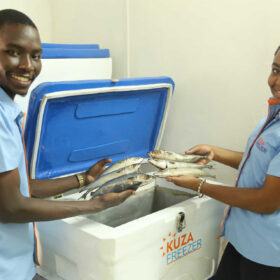 La start-up kenyota che trasforma i rifiuti in plastica in freezer