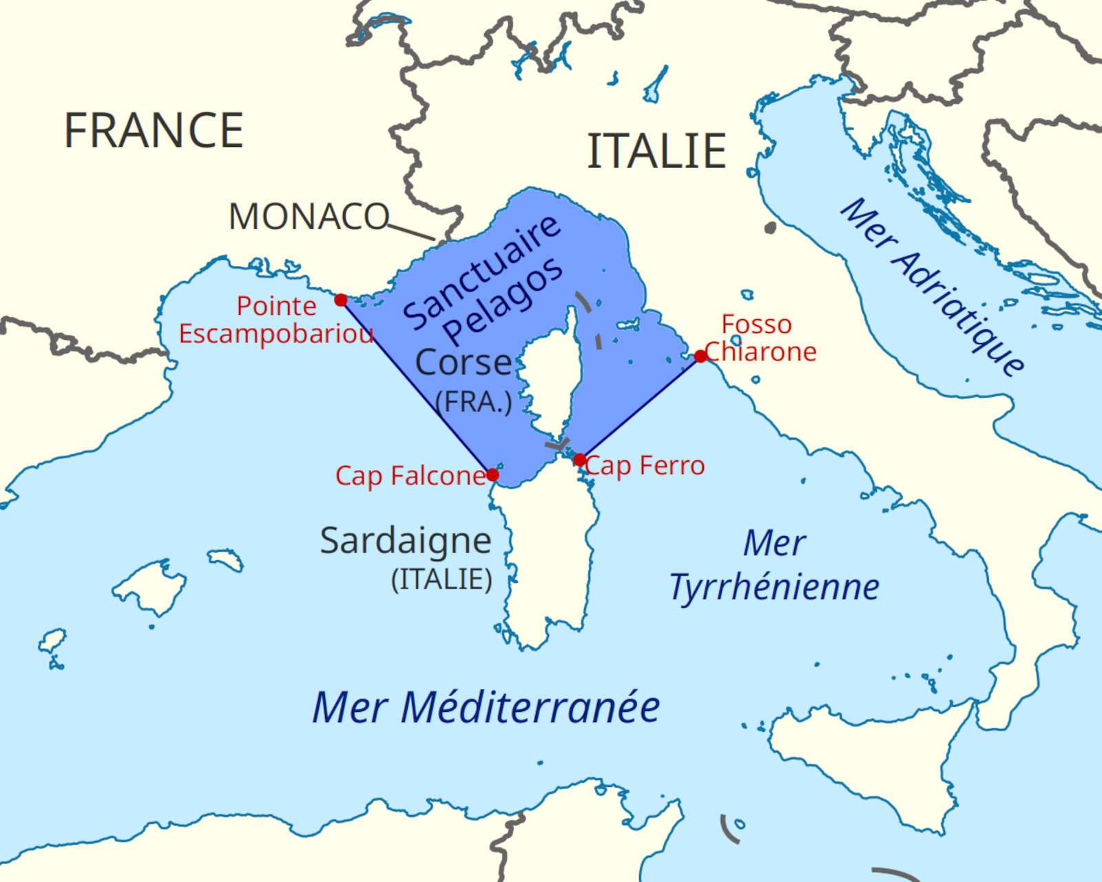 Il santuario dei cetacei nel Mar Ligure