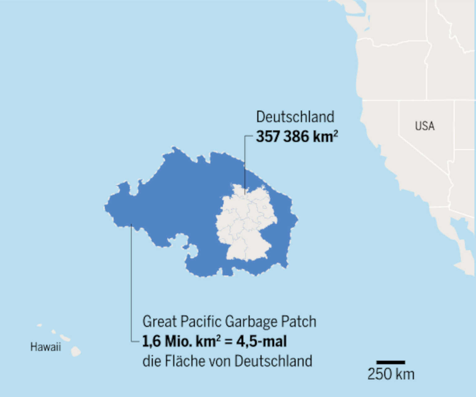 Plastica negli oceani: scoperto un fungo "miracoloso"