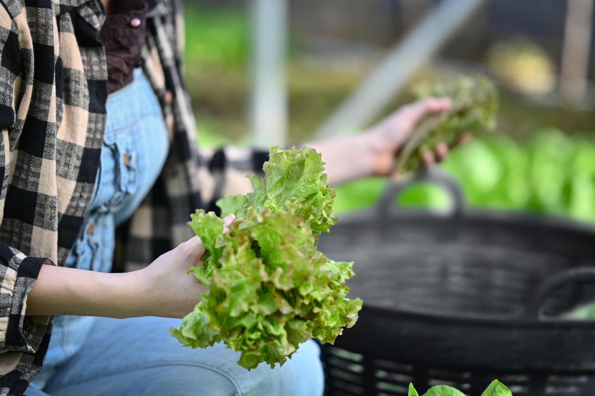 Scoperte nuove sostanze pericolose nel nostro cibo