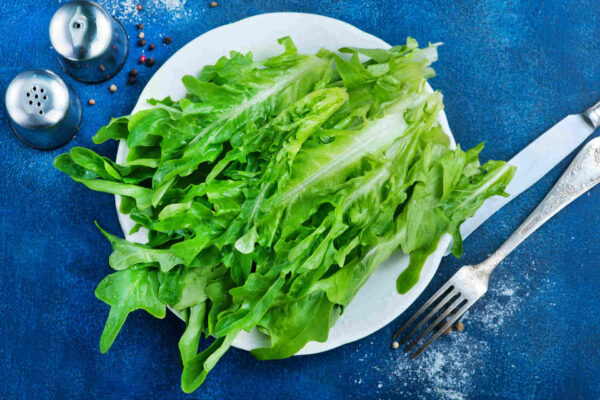 Le sostanze chimiche degli pneumatici finiscono nel nostro cibo