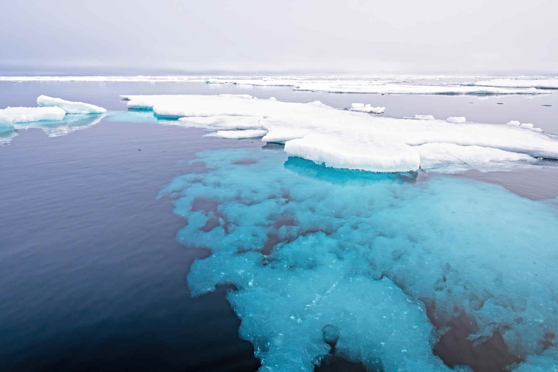 L'Oceano Artico potrebbe assorbire sempre meno CO2