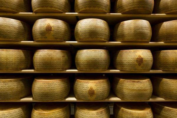 Grana Padano: nasce un software per una filiera “resiliente”