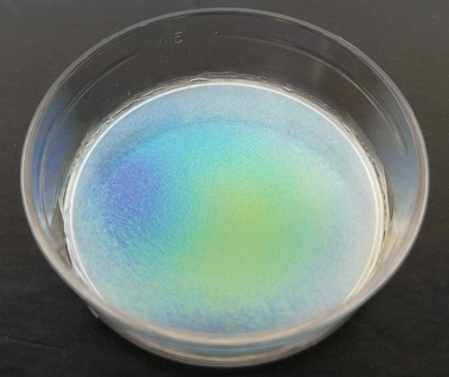 Dalla Svizzera uno studio pionieristico sulla biofabbricazione di cellulosa