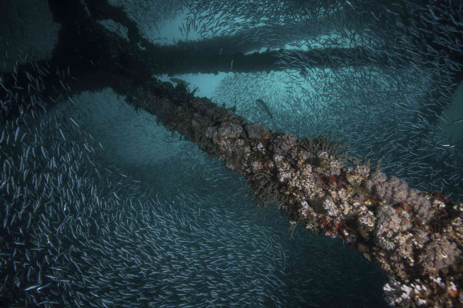Impianti estrattivi offshore: come dismetterli?