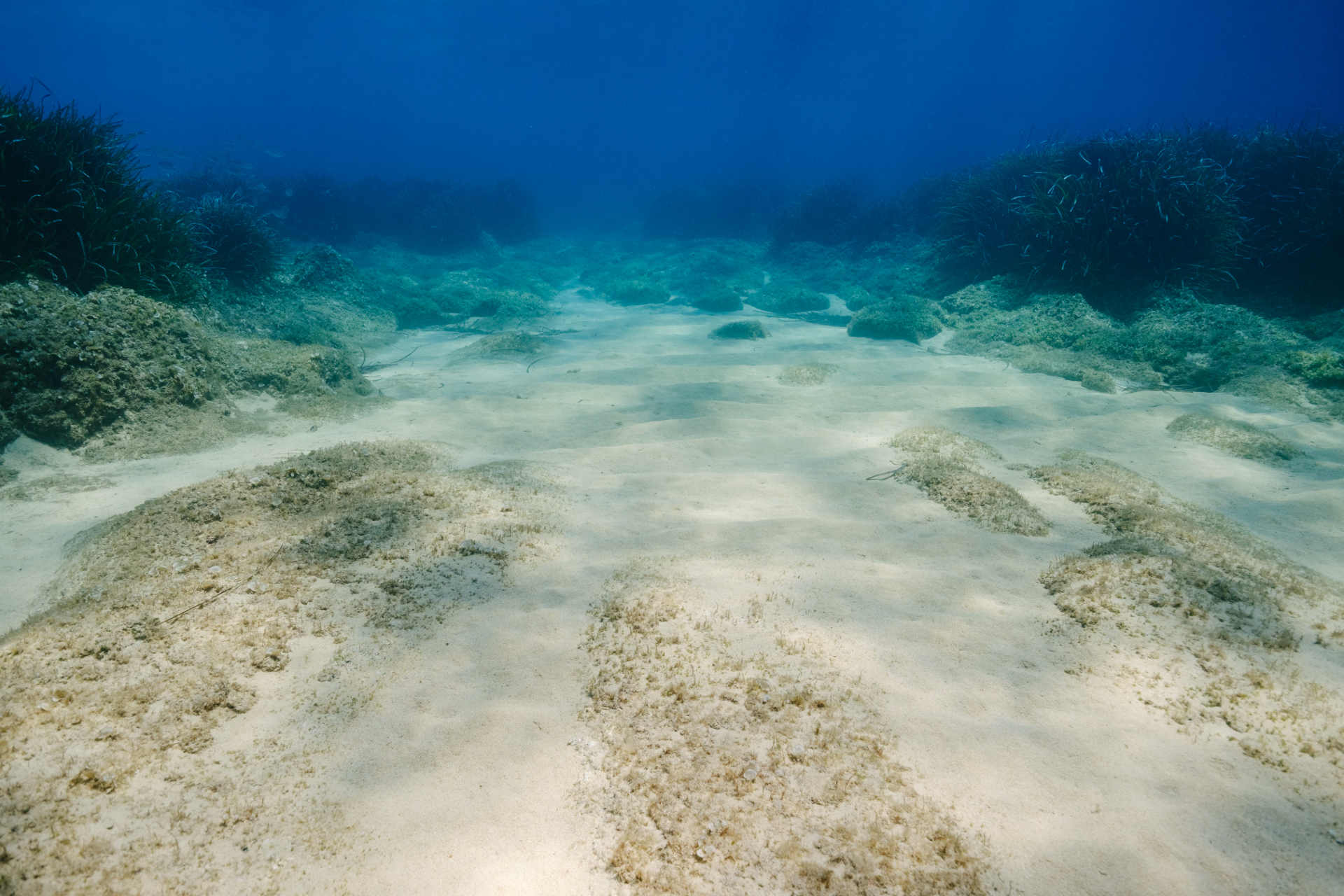 Le vere emissioni della pesca a strascico