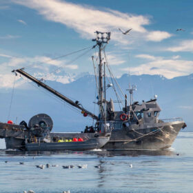La pesca industriale minaccia le riserve di carbonio blu