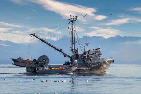 La pesca industriale minaccia le riserve di carbonio blu