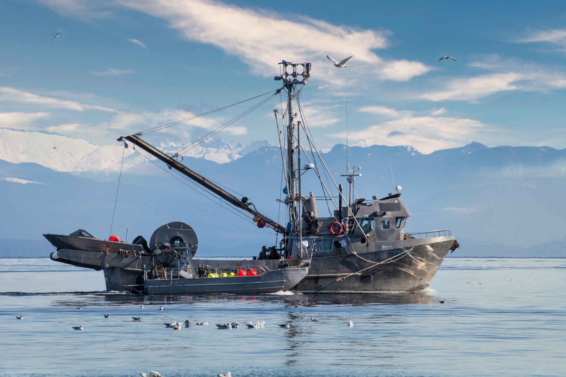 La pesca a strascico è dannosa anche per il clima