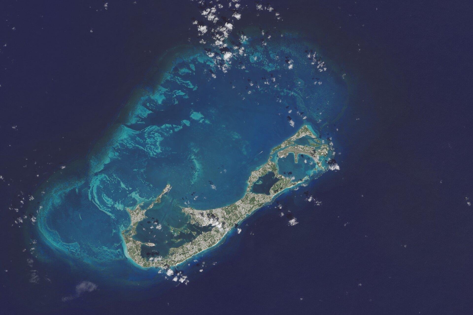 Bermuda: si cerca una partnership strategica che supporti la trasformazione digitale
