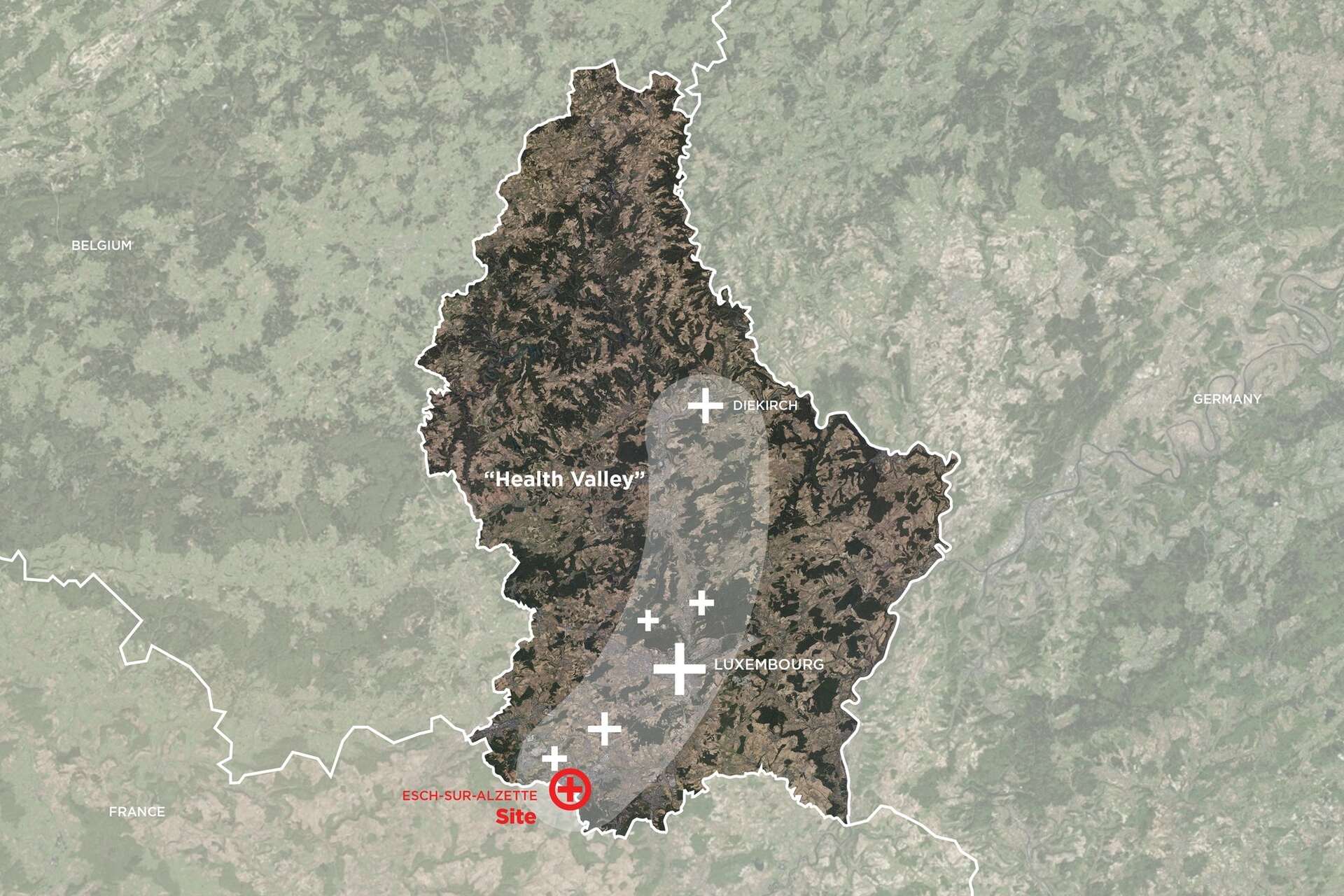 Lussemburgo: la mappa del settore delle tecnologie sanitarie nel Granducato