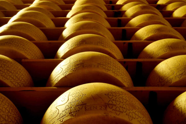 Welfare e Gender Equality: Grana Padano entra a far parte di Valore D