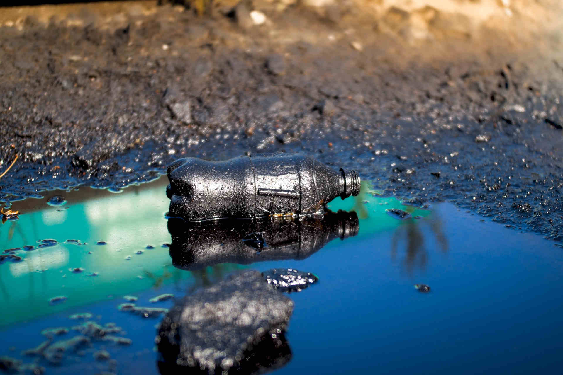 Plastica senza petrolio: il nuovo studio del KAIST