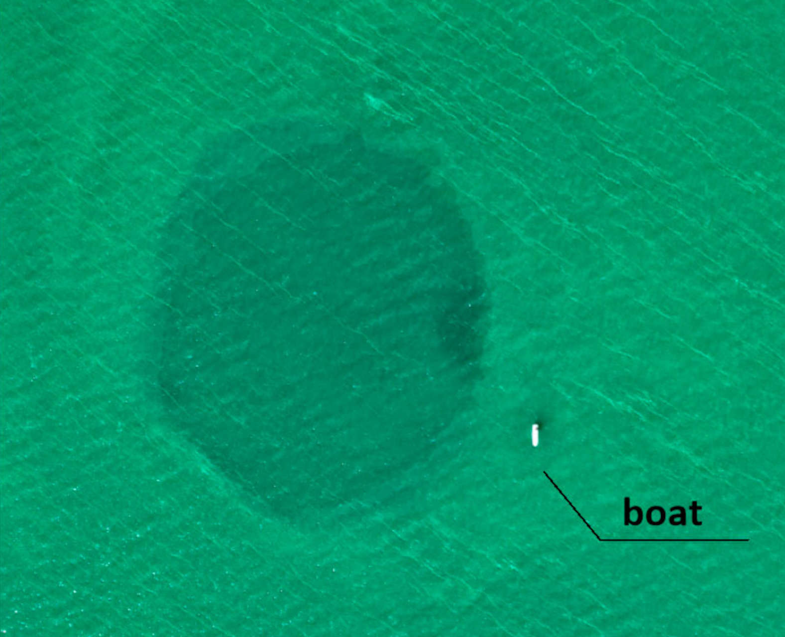 Taam Ja', il blue hole dei record