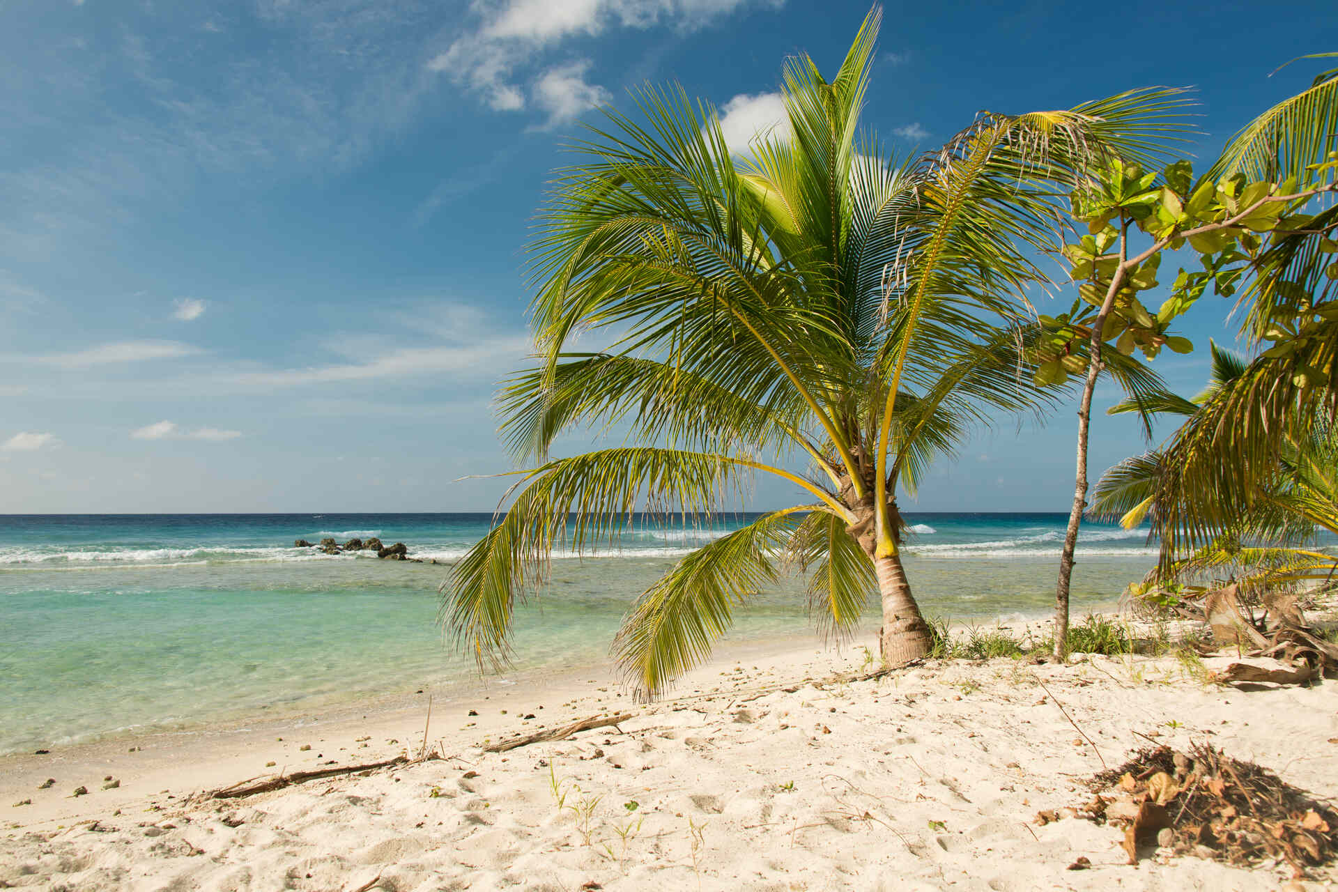 Finanza climatica: una spiaggia di Barbados