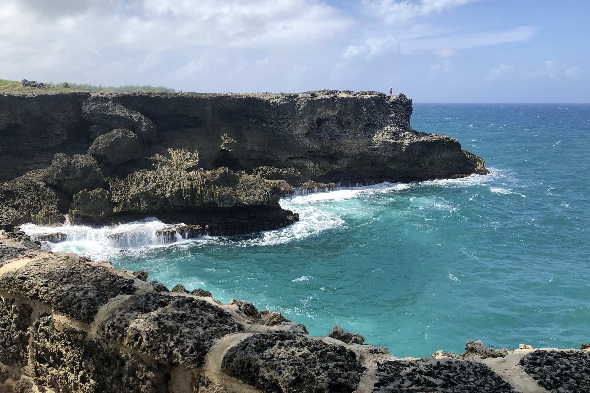 Finanza climatica: una scogliera di Barbados