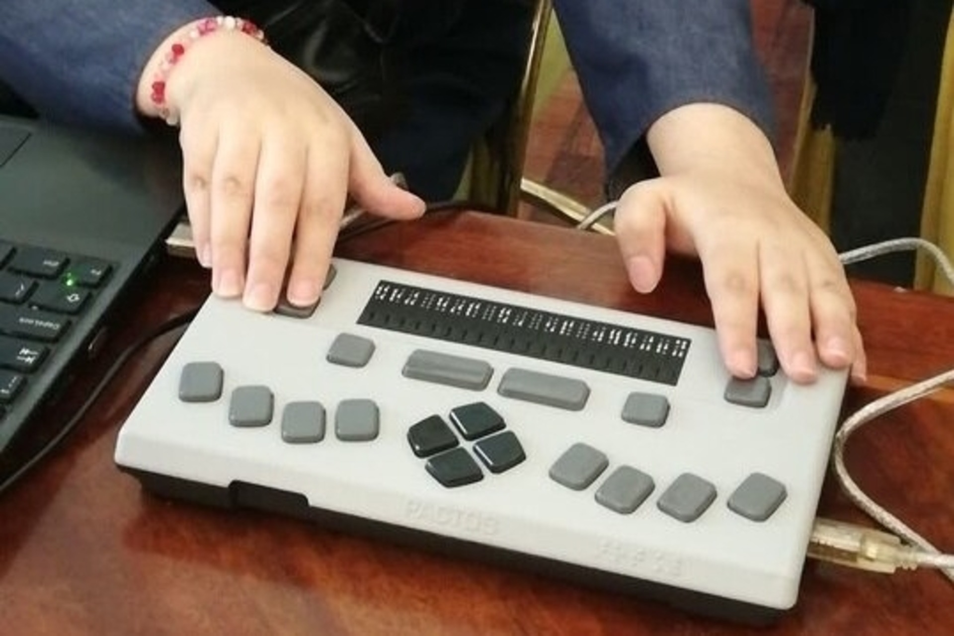 Tablet in Braille: il complesso culturale-storico di Niavaran, a nord di Teheran, è stato il primo a introdurre il dispositivo