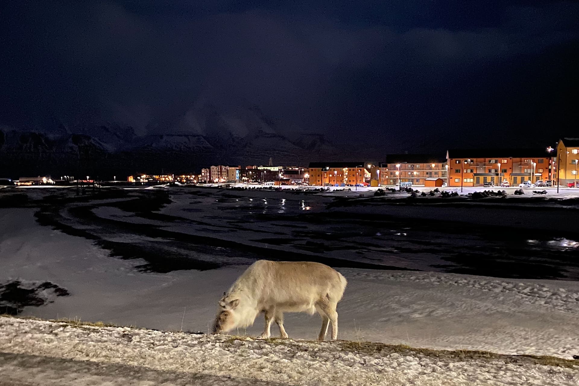 Global Seed Vault: la cassaforte della biodiversità agricola globale