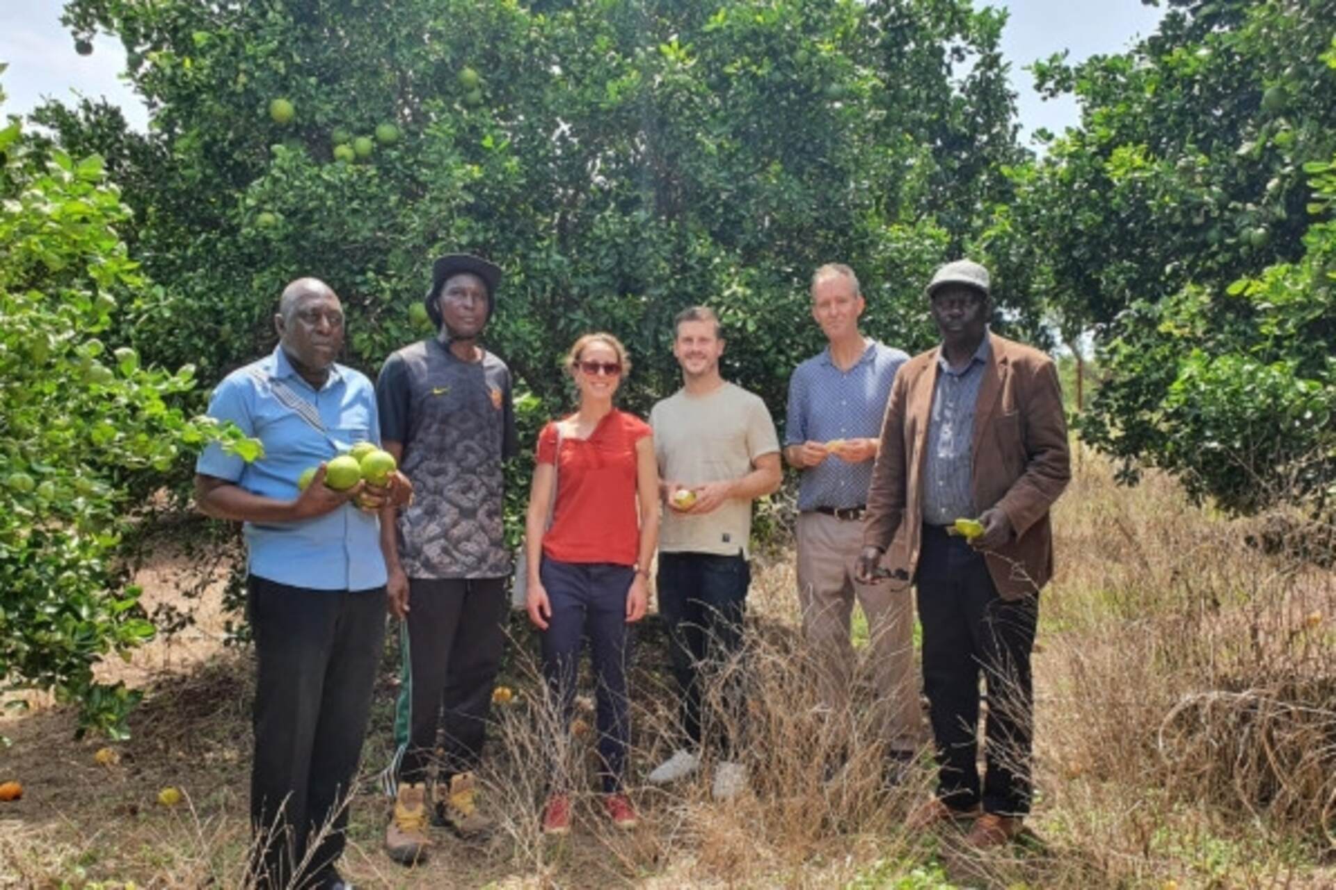GIC: agricoltura sostenibile e popolazioni resilienti in Africa e Asia grazie ai Green Innovation Centres for the Agriculture and Food Sector