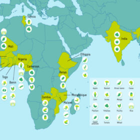 Tutto l’aiuto europeo alla sostenibilità agroalimentare globale