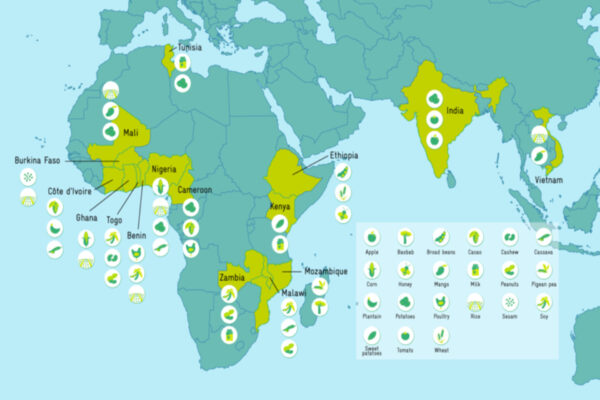 Tutto l’aiuto europeo alla sostenibilità agroalimentare globale