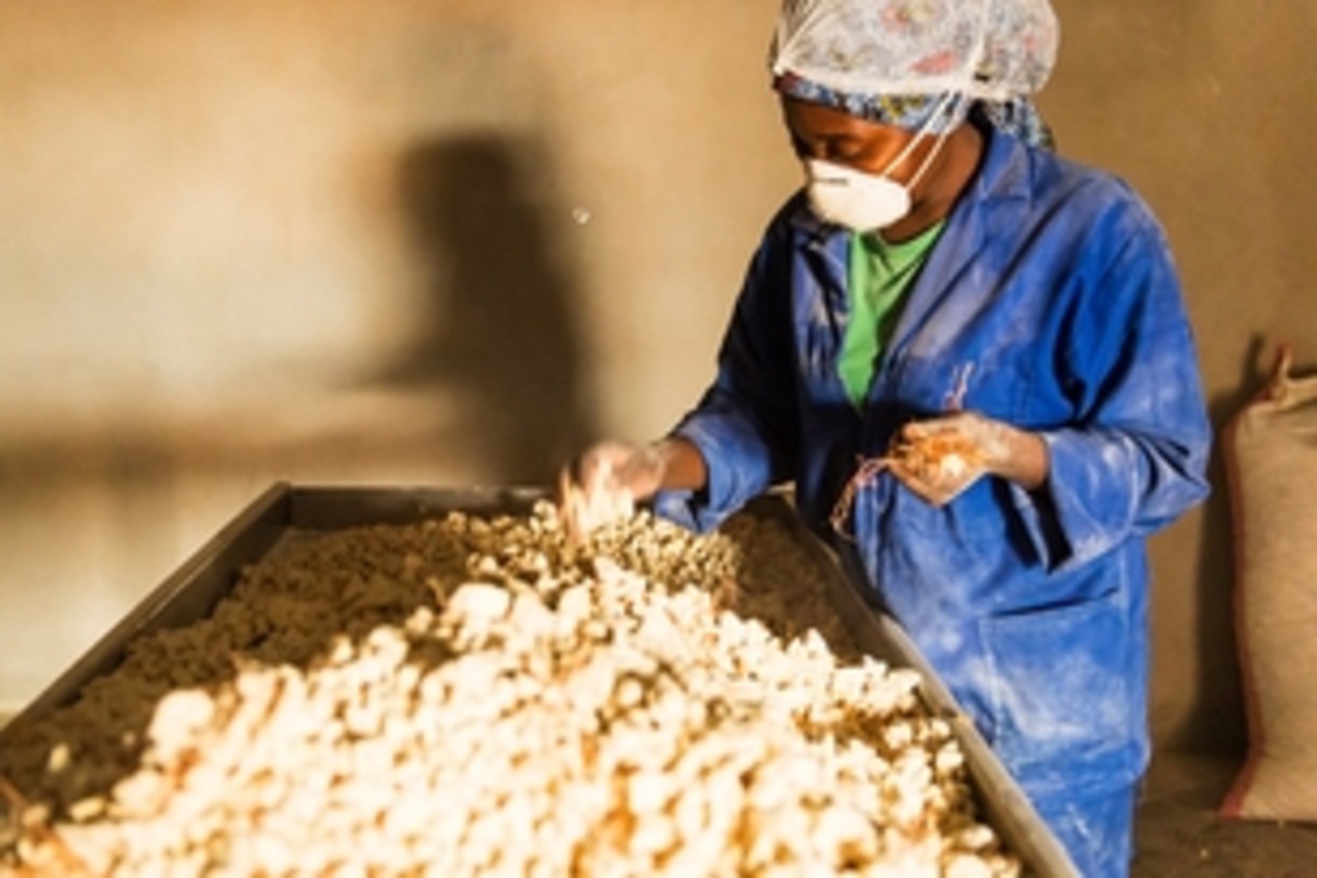 GIC: agricoltura sostenibile e popolazioni resilienti in Mozambico