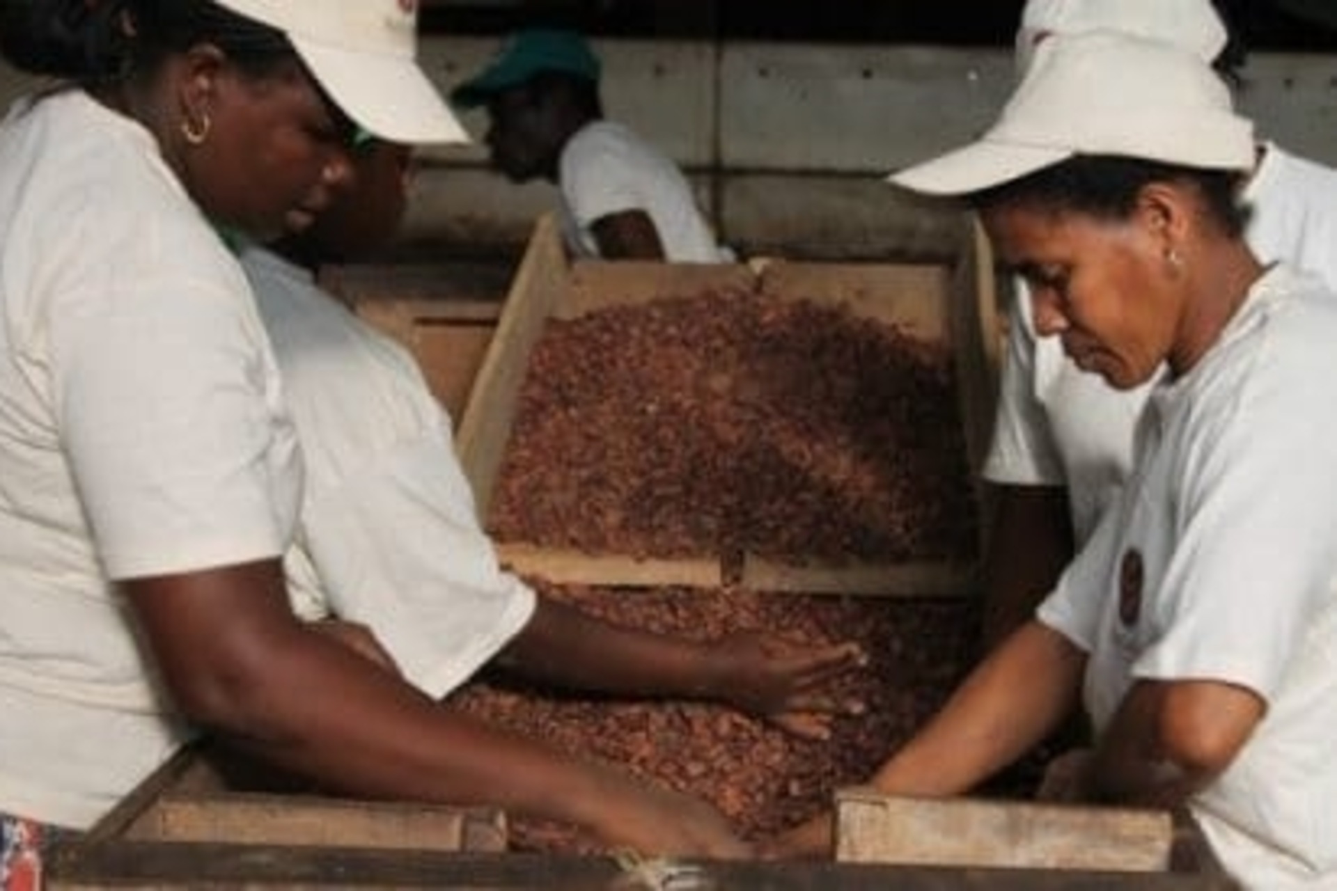 Satocao: impiegati dipendenti locali originari di São Tomé e Príncipe
