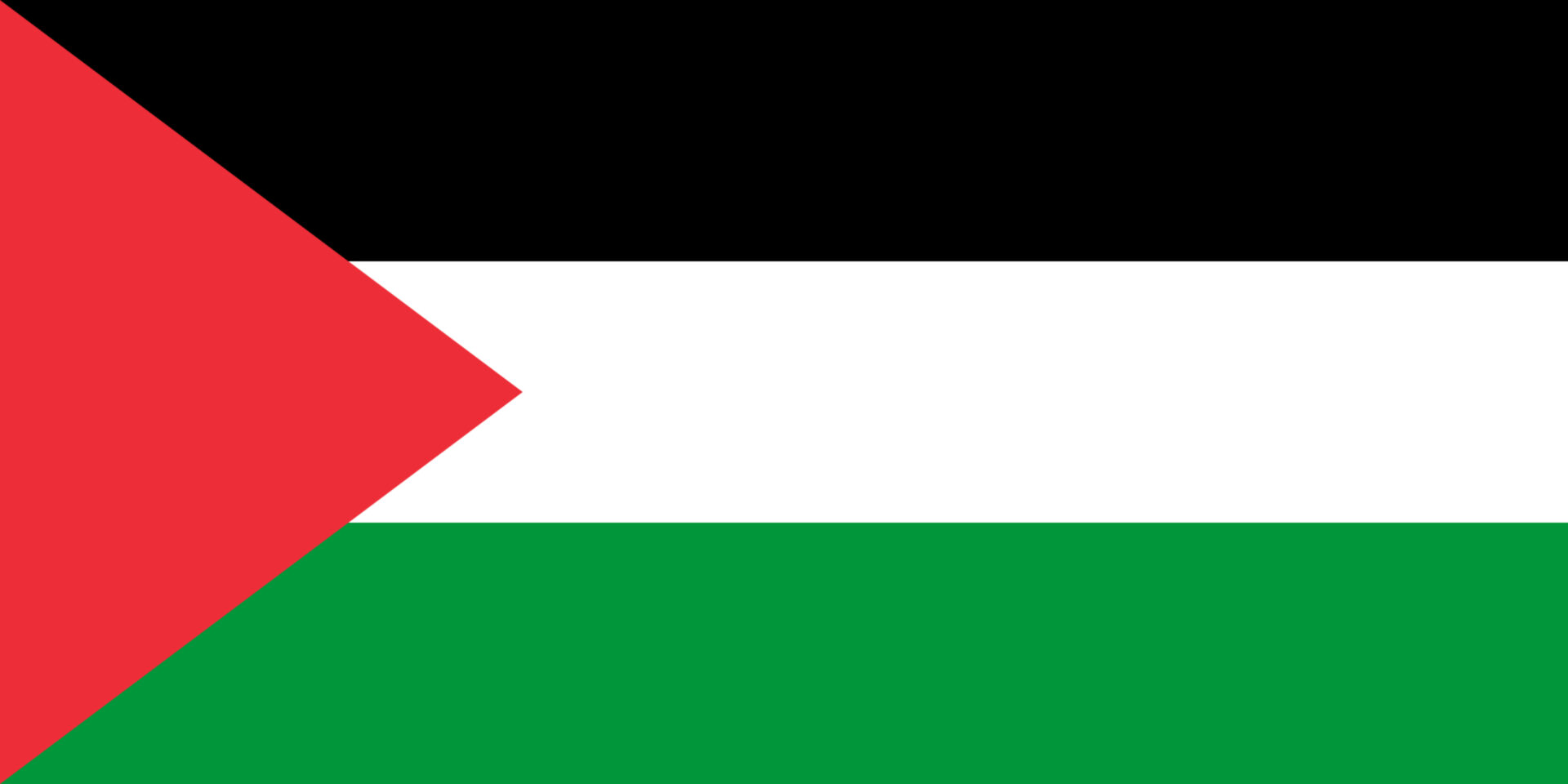Bandiera della Striscia di Gaza, simbolo del territorio palestinese sotto amministrazione di Hamas, su Innovando News.