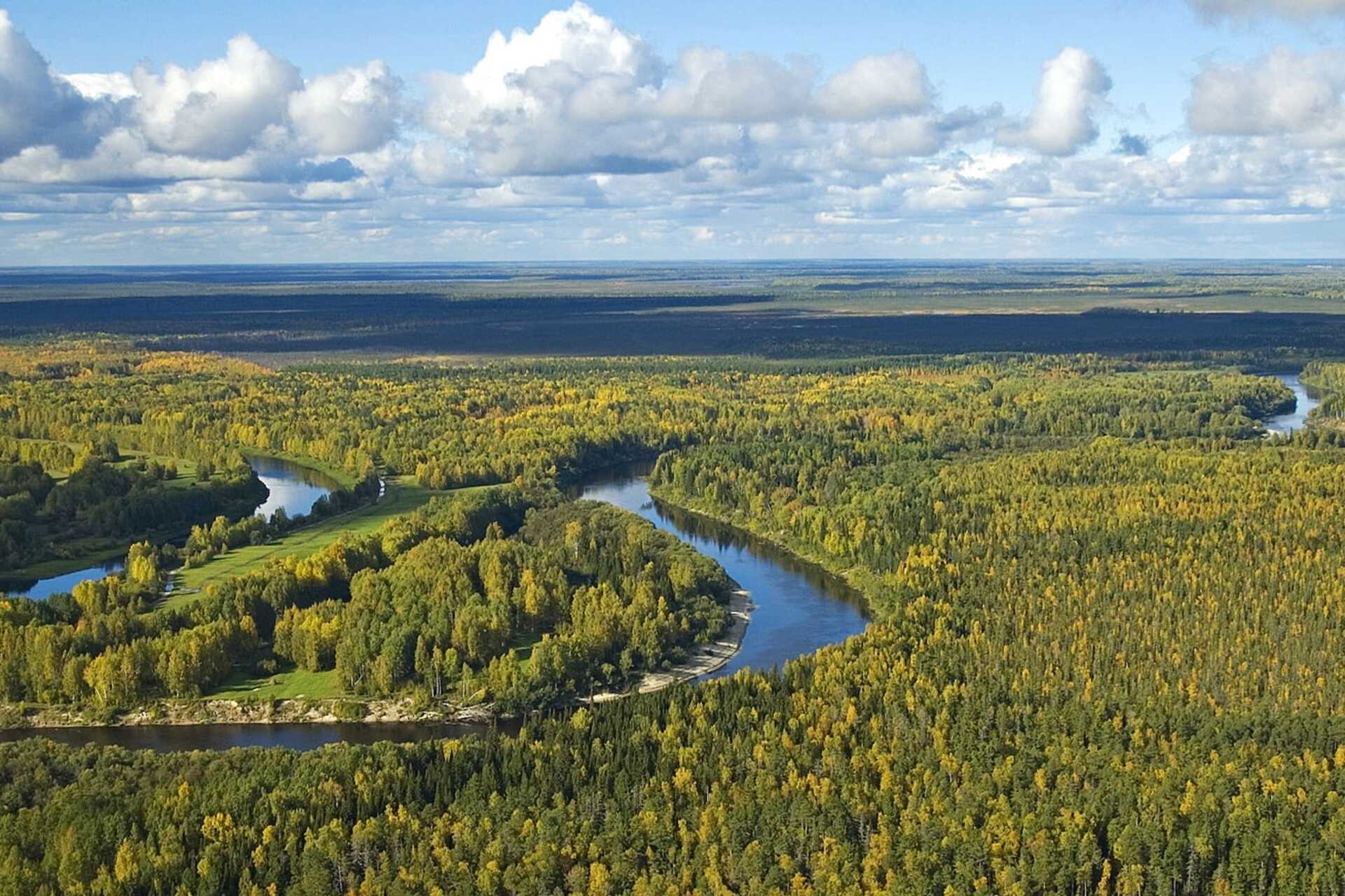 Siberia orientale: la regione di Vasyugan è ricca di risorse naturali come gas, petrolio e mineral