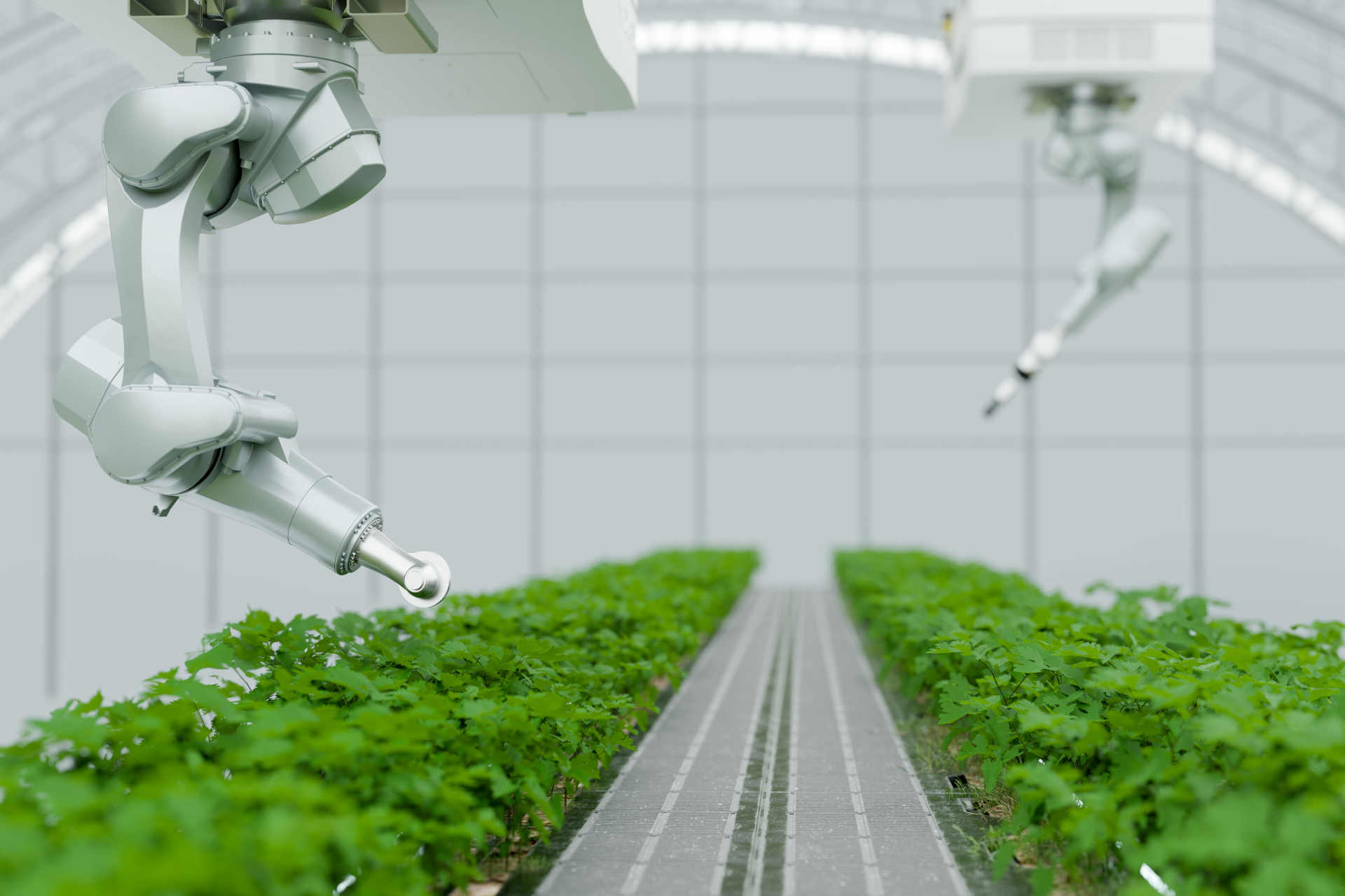 Agricoltura 4.0: il robot che identifica le piante