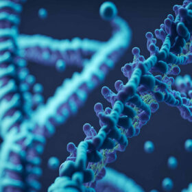 Un Meccano di origami a DNA per i nanobot del futuro
